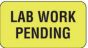 Label Paper Permanent Lab Work Pending, 1 5/8" x 7/8", Fl. Yellow, 1000 per Roll