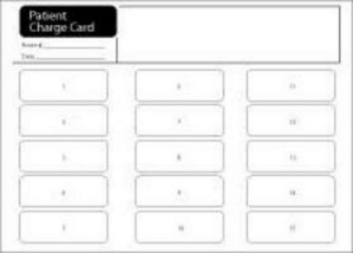 Label Patient Charge Card Paper Patient Charge Card 7" x 5", White, 250 per Box