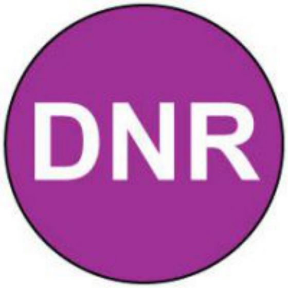 Label Paper Removable DNR, Purple, 1000 per Roll