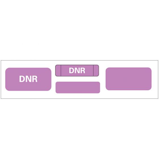 Label Paper Permanent DNR DNR 1" Core 4 3/4 "x3/4" Purple 500 per Roll