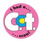 Label Pediatric Award Sticker Paper Permanent I Had a CT Scan! Pink, 250 per Roll