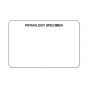 Lab Communication Label (Paper, Permanent) Pathology Specimen  3"x2" White - 500 per Roll