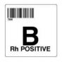 ISBT 128 Label (Synthetic, Permanent) "B RH Positive'' 2"x2" White - 500 per Roll