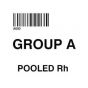 ISBT 128 Label (Synthetic, Permanent) "Group A Pooled Rh'' 2"x2" White - 500 per Roll