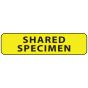 Label Paper Permanent Shared Specimen, 1" Core, 1 1/4" x 5/16", Yellow, 760 per Roll