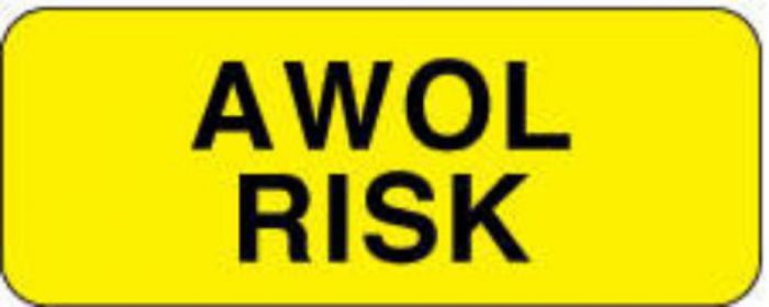 Label Paper Permanent AWOL Risk  2 1/4"x7/8" Yellow 1000 per Roll