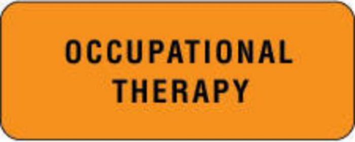 Label Paper Permanent Occupational Therapy 2 1/4" x 7/8", Fl. Orange, 1000 per Roll