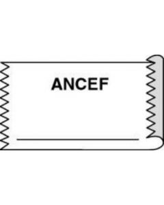 Anesthesia Tape (Removable) Ancef 1/2" x 500" - 333 Imprints - White - 500 Inches per Roll